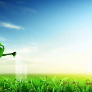 Estratégias de irrigação eficiente para pequenas propriedades